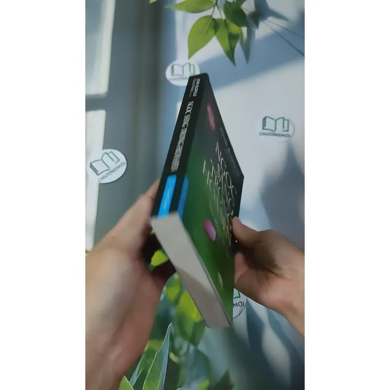 Ngọc Sáng Trong Hoa Sen - Nguyên Phong 961181