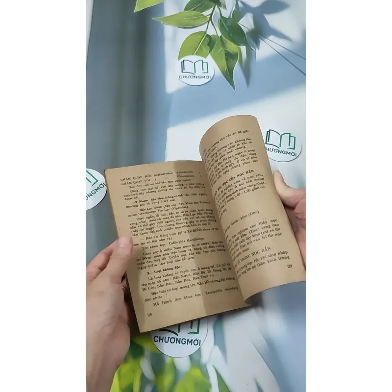 [XƯA] Cấp Cứu Và Điều Trị: Chết Đuối, Điện Giật, Rắn Độc Cắn (1982) - BS. Nguyễn Đình Thiêng - BS. Trần Văn Dược 776013