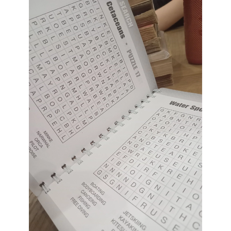 Word search - Hinkler 975873