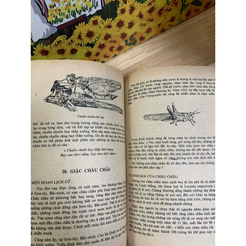 Những Kỳ Lạ Trong Thế Giới Sinh Vật 926223