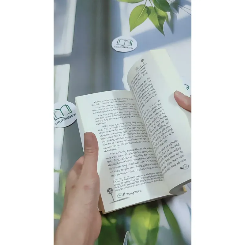 Bến Xe - Thương Thái Vi 744709