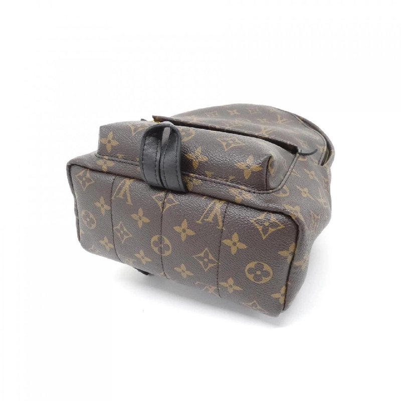 Balo Louis Vuitton Monogram Palm Springs PM M41560 609635