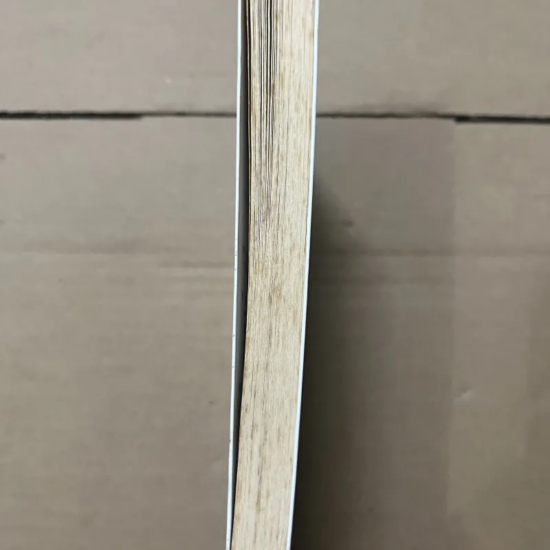 Mặc kệ thiên hạ 1019846