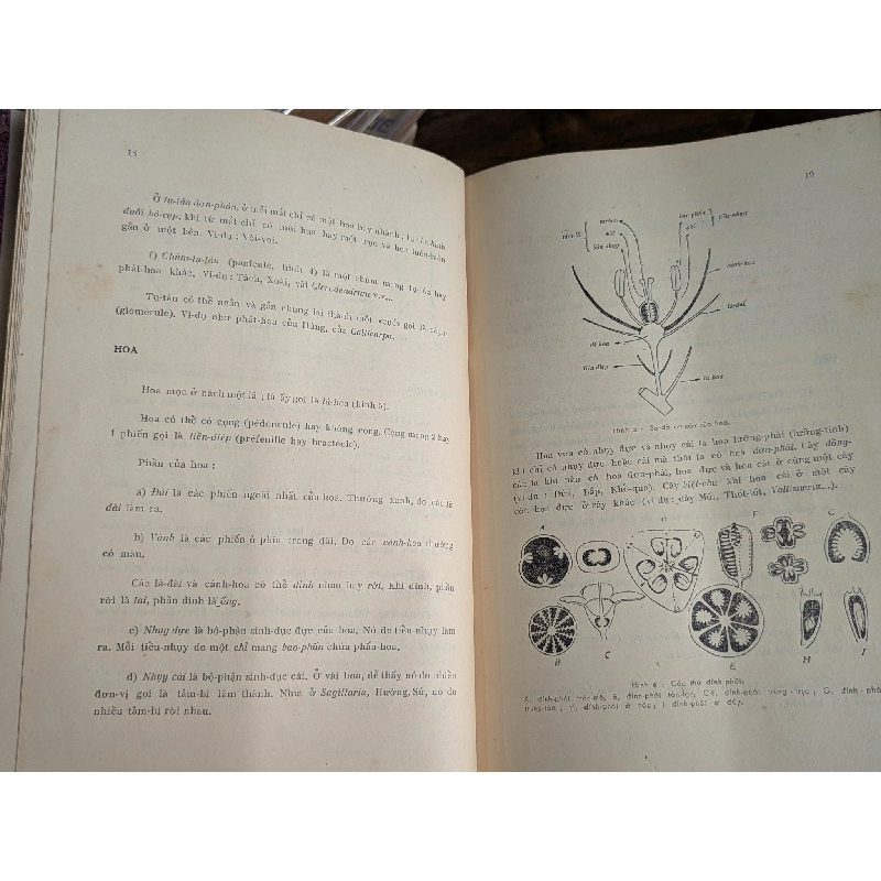 Cây cỏ miền nam Việt Nam - Phạm Hoàng Hộ ( trọn bộ 2 tập ) 128641