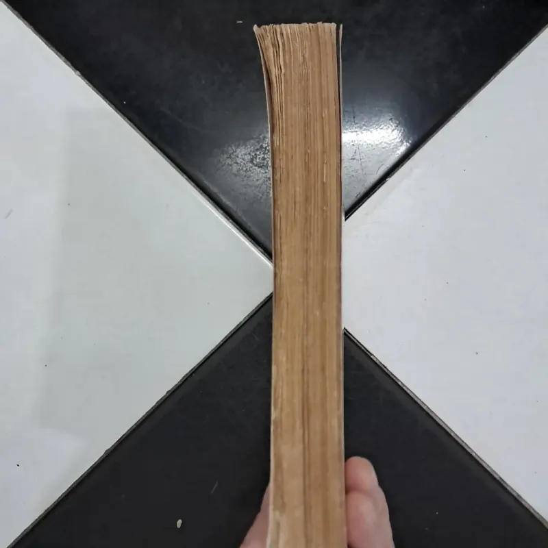 Con người Việt Nam - Toan Ánh 1028768