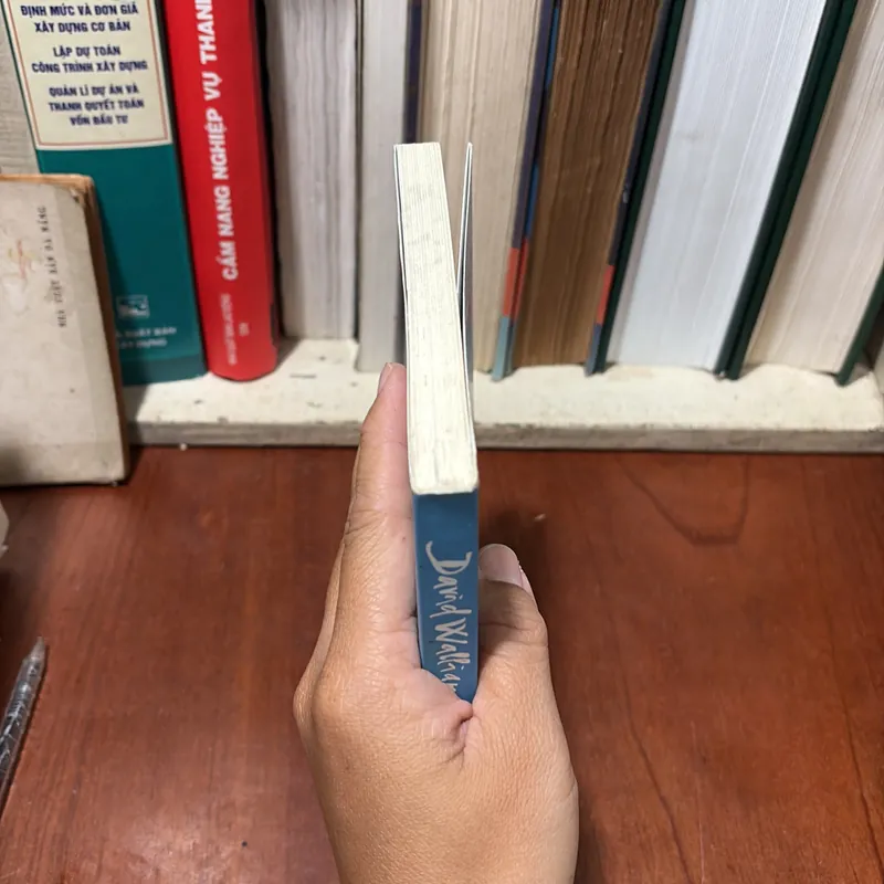 II Chuyện Hài Nước Ngoài: Bánh Mì Kẹp Chuột - DAVID WALLIAMS - 2019 722427