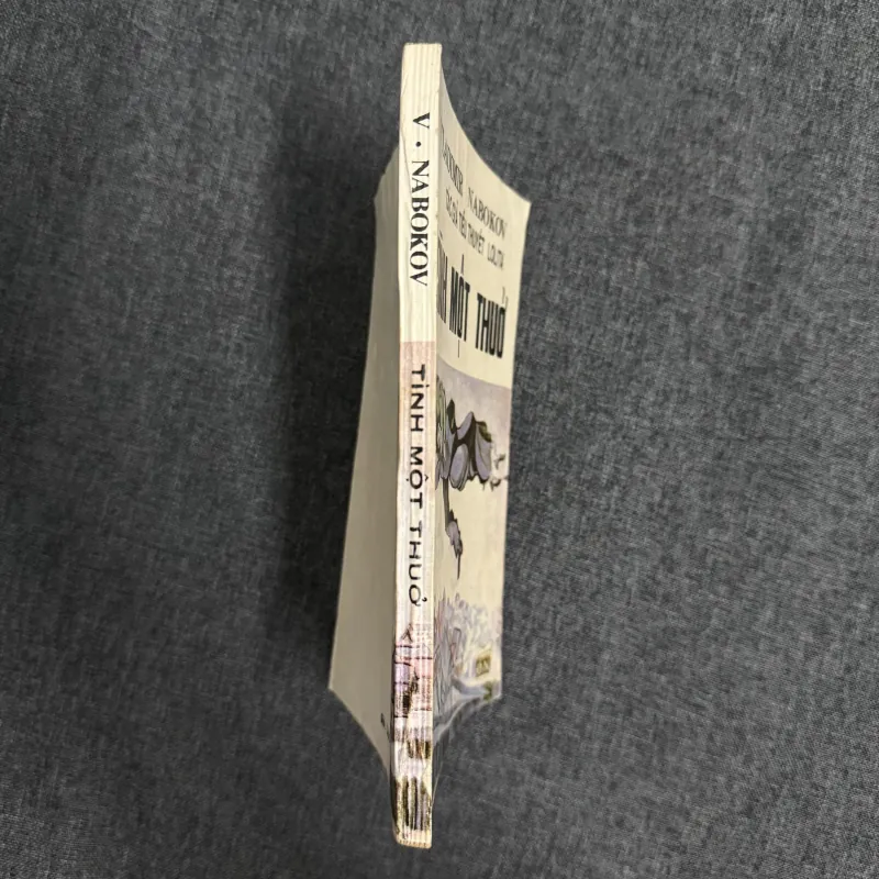 Tình một thuở - Vladimir Nabokov 996810