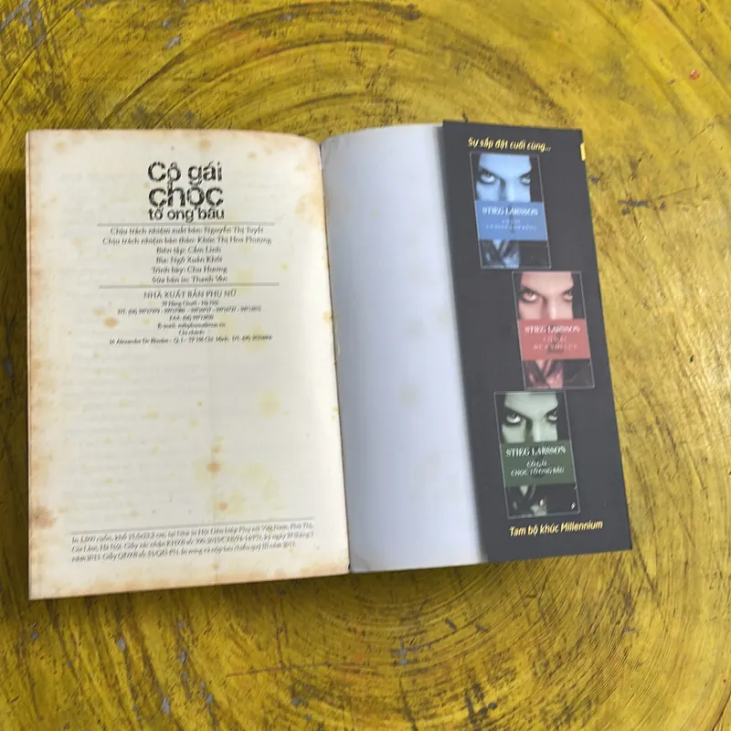 CÔ GÁI CHỌC TỔ ONG BẦU - STIEG LARSSON 736249