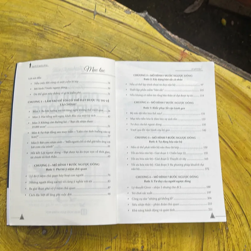 THE REVERSER NGƯỜI ĐI NGƯỢC DÒNG 738051