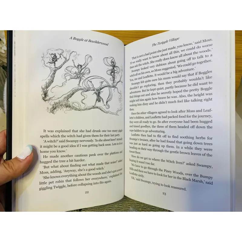 [Sách tiếng Anh 2hand] Like new 90% - A Boggle at Bewilderwood – Tom Blofeld 958415