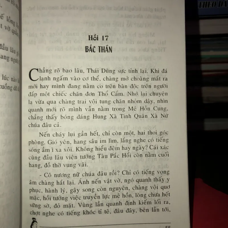 Nữ tướng miền sơn cước (Giặc cái) - Hoàng Ly 993328