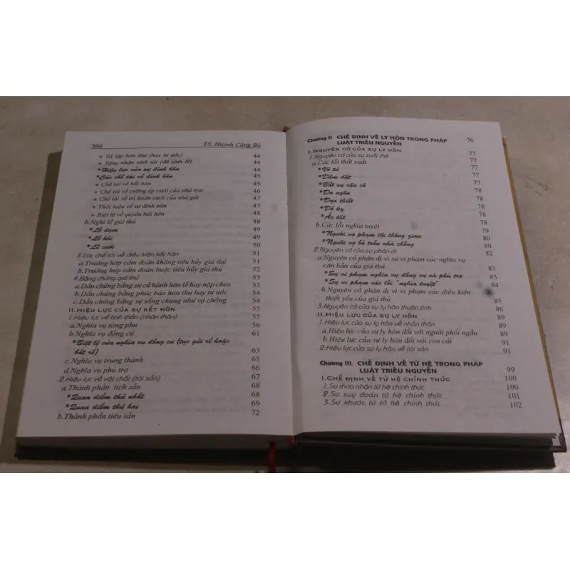 Hôn nhân và gia đình trong pháp luật triều Nguyễn 973725