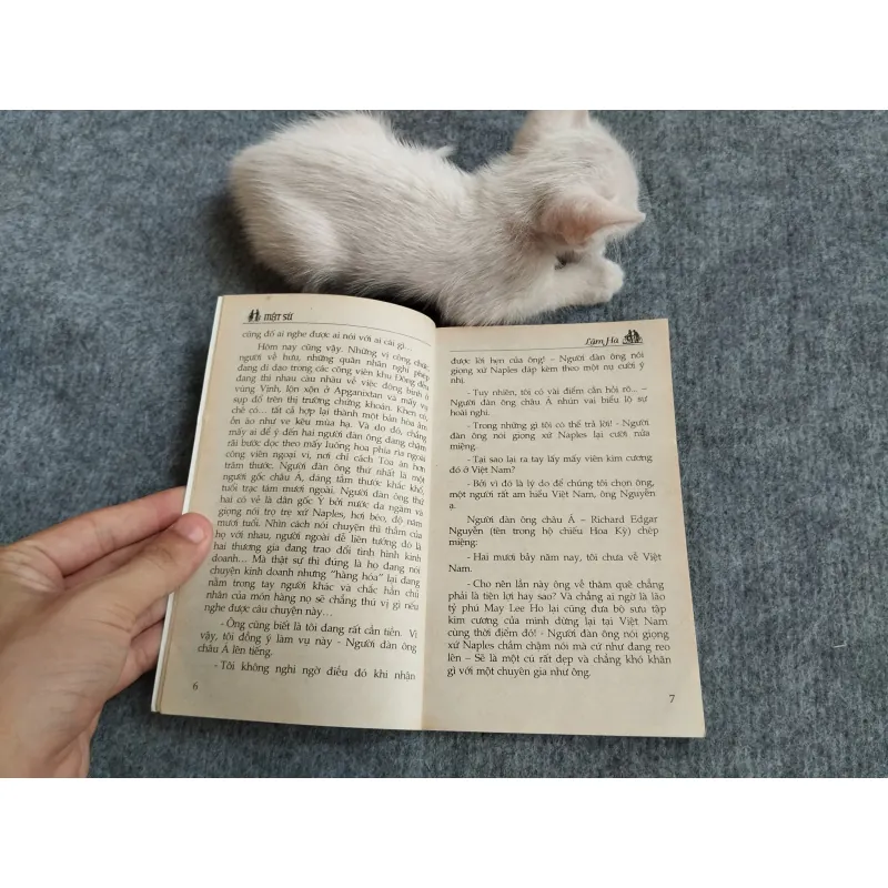 MẬT SỨ - LÂM HÀ 567801