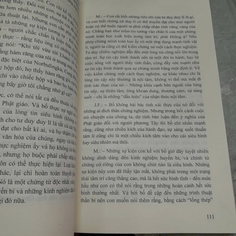 NHÀ TU HÀNH VÀ NHÀ TRIẾT HỌC - TRIỆU VIỆT TÂN VÀ DƯƠNG THẮNG DỊCH 726862