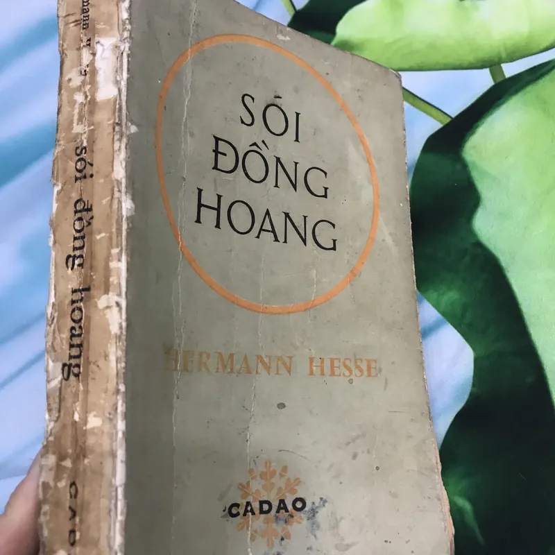 Sói Đồng Hoang - Hermann Hesse  591262