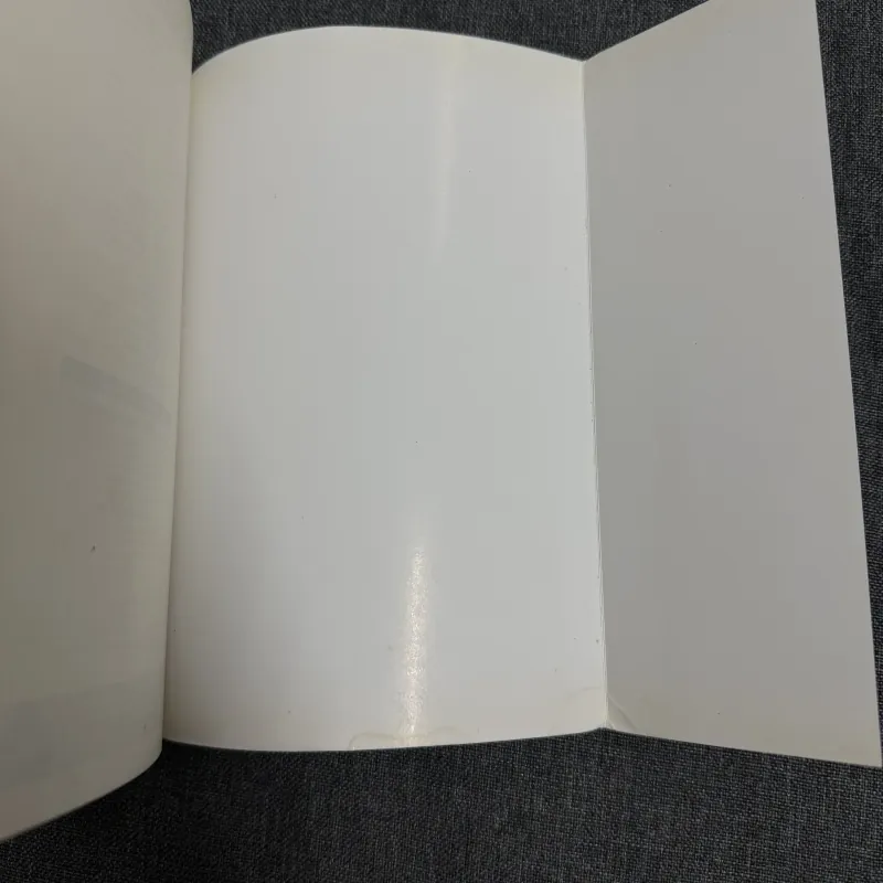 Những cuộc phiêu lưu sáng chói của Flora và Ulysses - Kate DiCamillo 761035