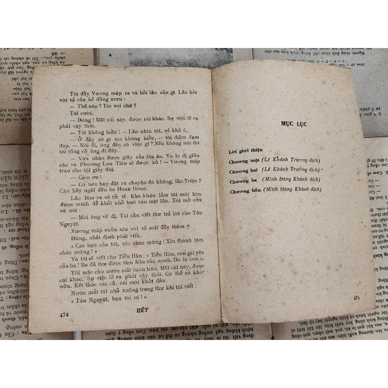 Tiểu thuyết của Đới Hậu Anh: NGƯỜI ƠI NGƯỜI 702538