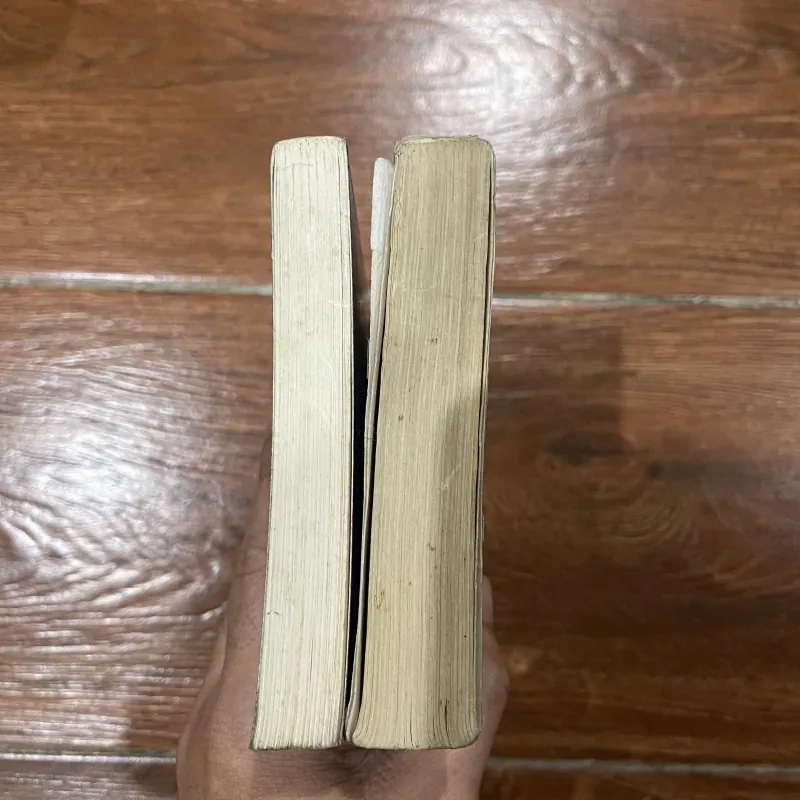 Cậu bé cưỡi rồng 2 tập  745003