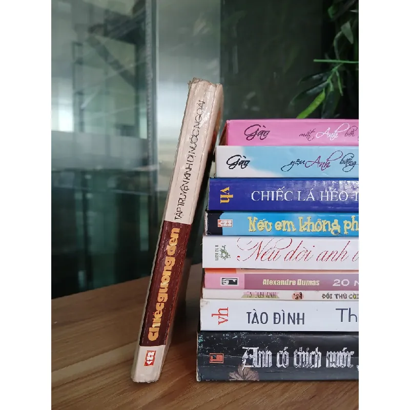 Chiếc gương đen – Tập truyện kinh dị nước ngoài 558489