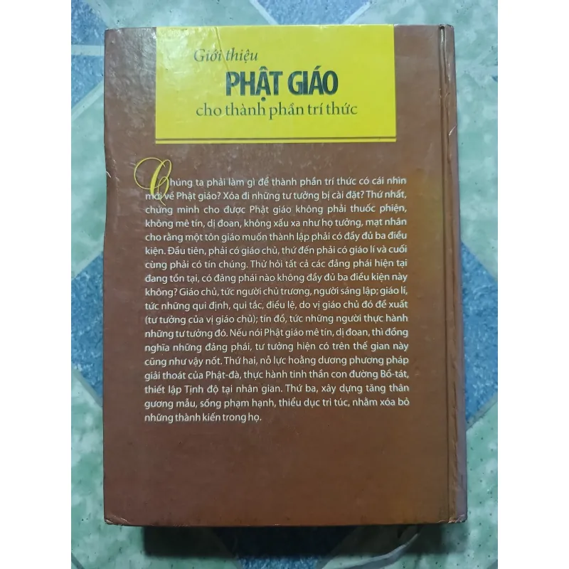 Giới thiệu Phật giáo cho thành phần trí thức - Vũ Lăng Ba 1004417