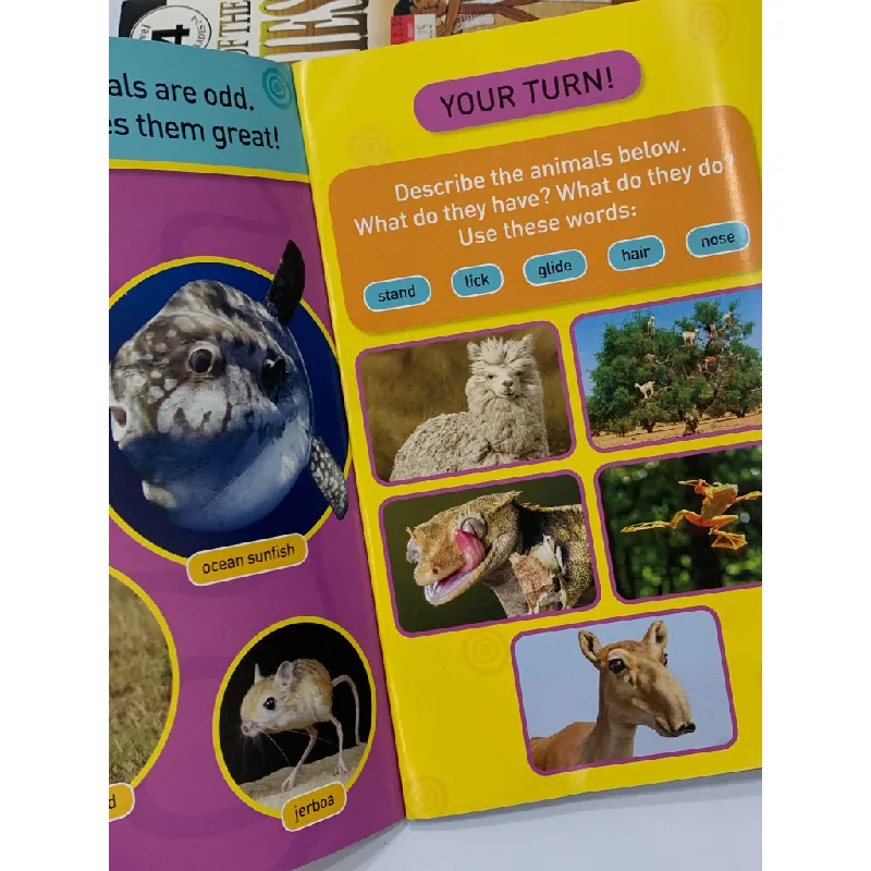 Odd Animals – National Geographic Kids 559539