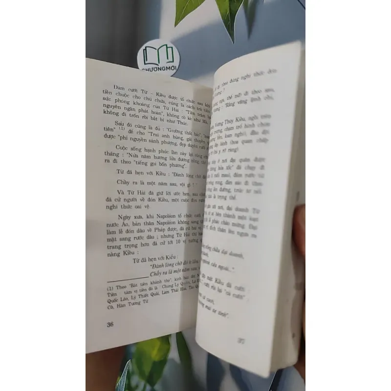 [XƯA] Trên Đỉnh Trường Sơn Kể Truyện Kiều (1999) - Trương Nguyên An 798340