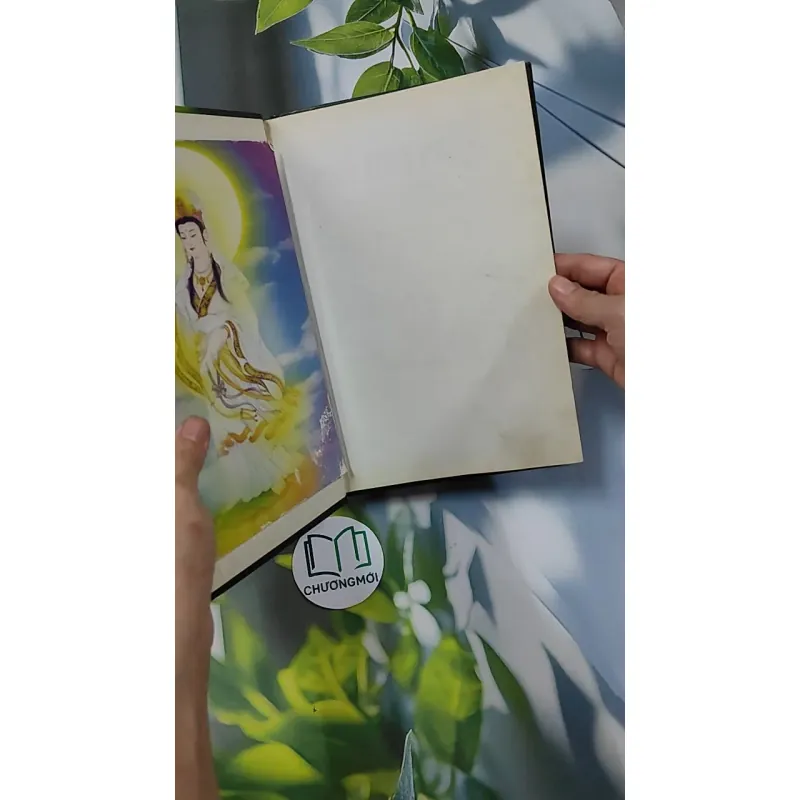 Phổ Môn Phẩm (họa tập) 750745