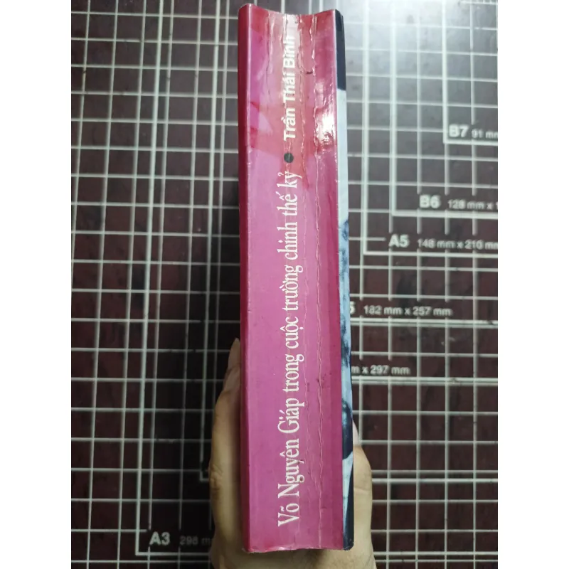 Võ Nguyên Giáp trong cuộc trường chinh thế kỷ - Trần Thái Bình 731125