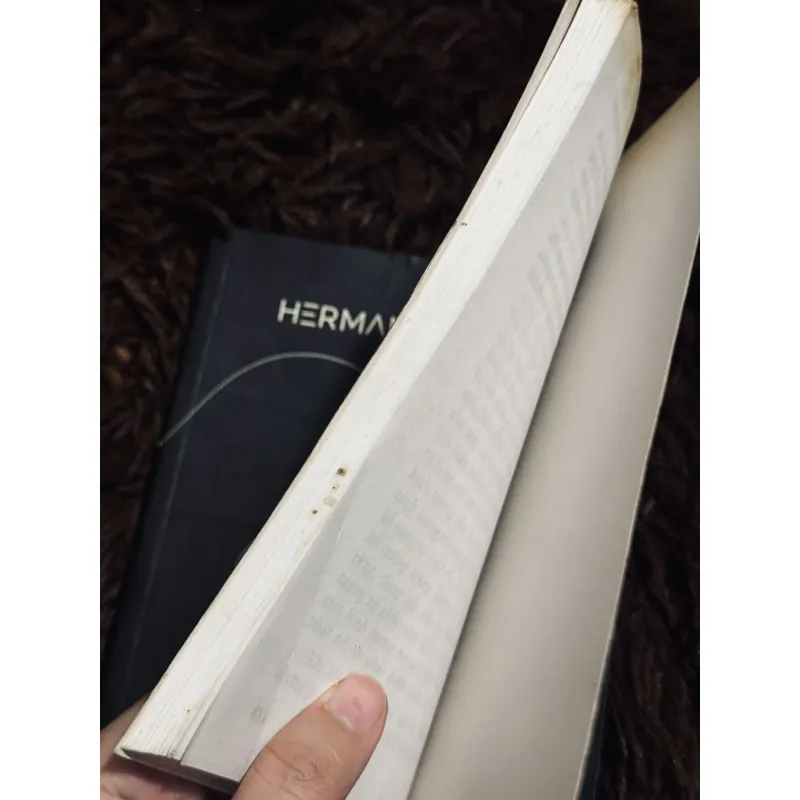 Combo Herman Hesse 996749