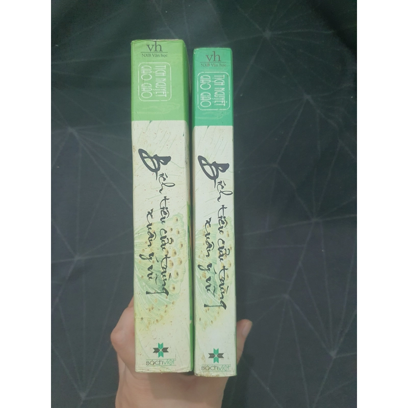 "Bích tiêu cửu trùng xuân ý vũ" - Tịch Nguyệt Giảo Giảo 498936