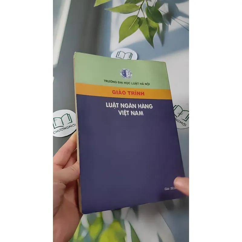 Giáo Trình Luật Ngân Hàng Việt Nam 727229