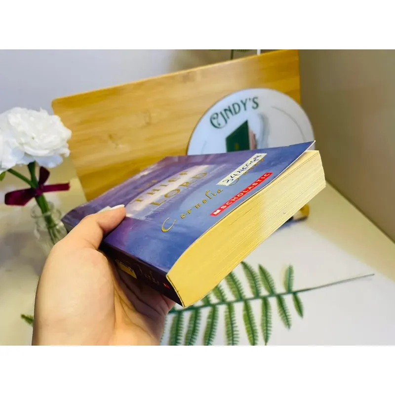 [Sách tiếng Anh 2hand] Like new 90% - The Thief Lord 715126