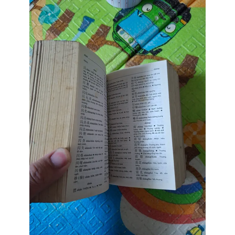 Từ Điển Trung - Việt 995067