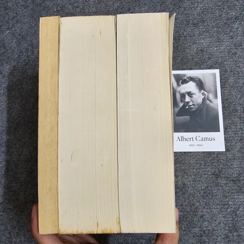 The Idiot - Evils - The gambler - Dostoevsky 1013405