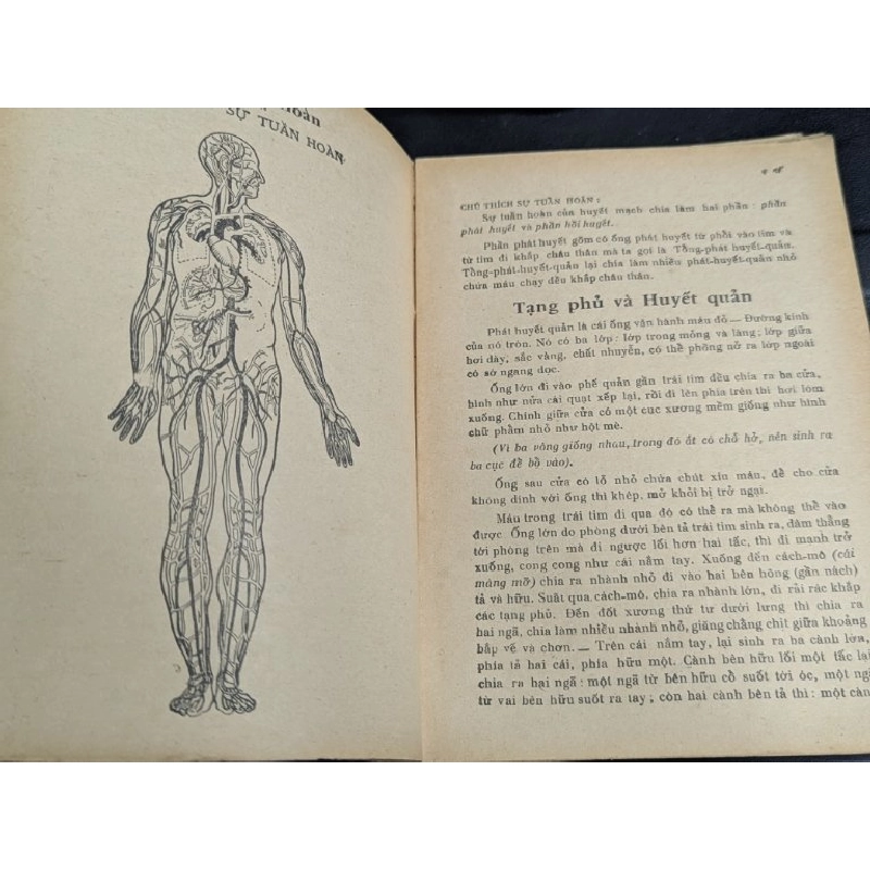 Đông y thực nghiệm - Đông Y Sĩ Đỗ Thuần Phong 462866