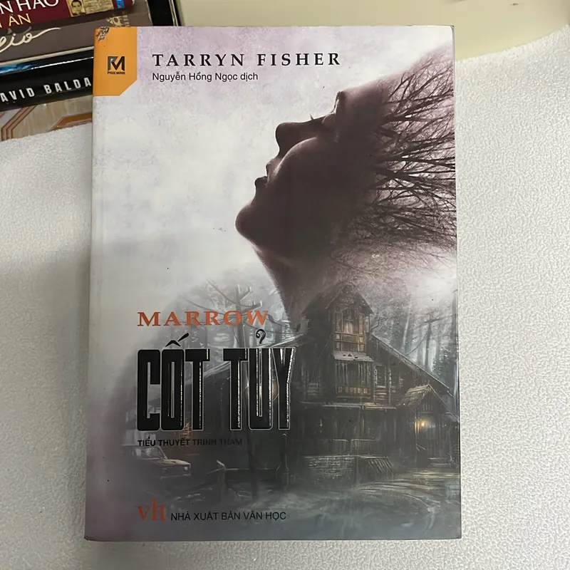 Cốt tuỷ Marrow 573947