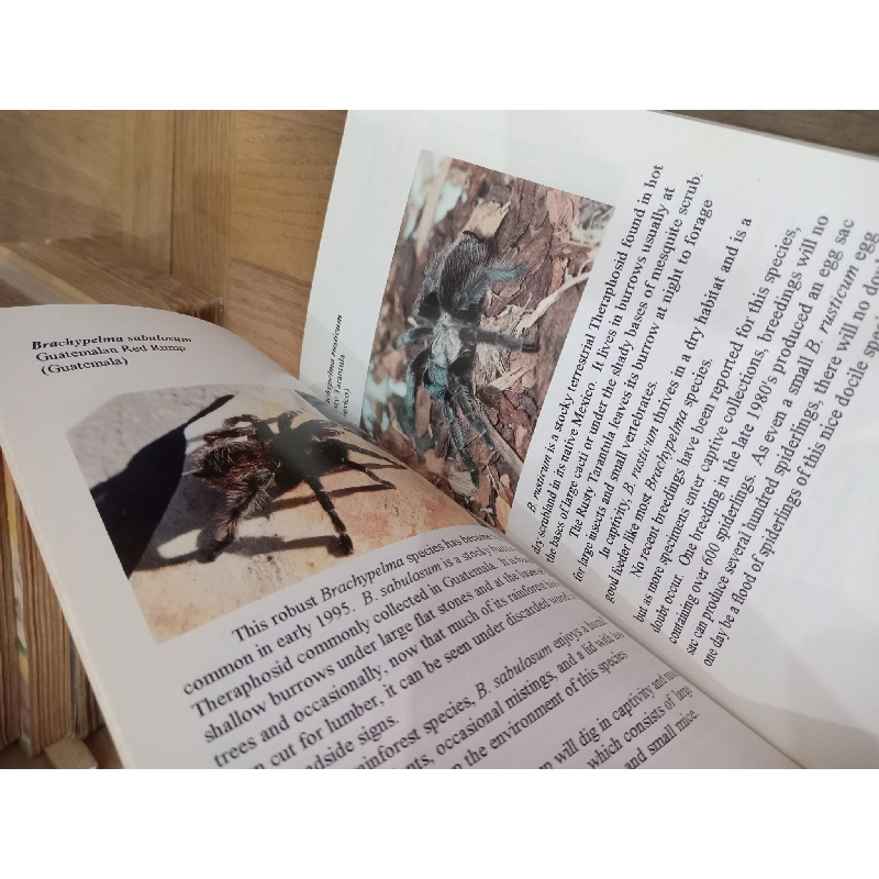 A Color Guide to Tarantulas of the World - Russ Gurley 1017637