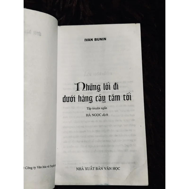 Những lối đi dưới hàng cây tăm tối 993152