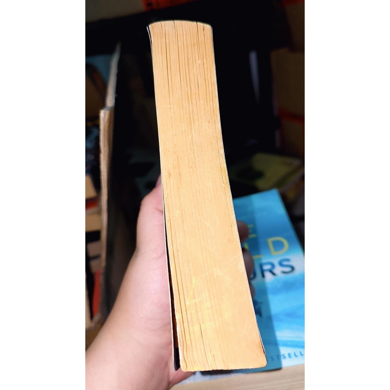 A PAINTED HOUSE - JOHN GRISHAM #1 NYT BESTSELLER (Pocket size) 496704