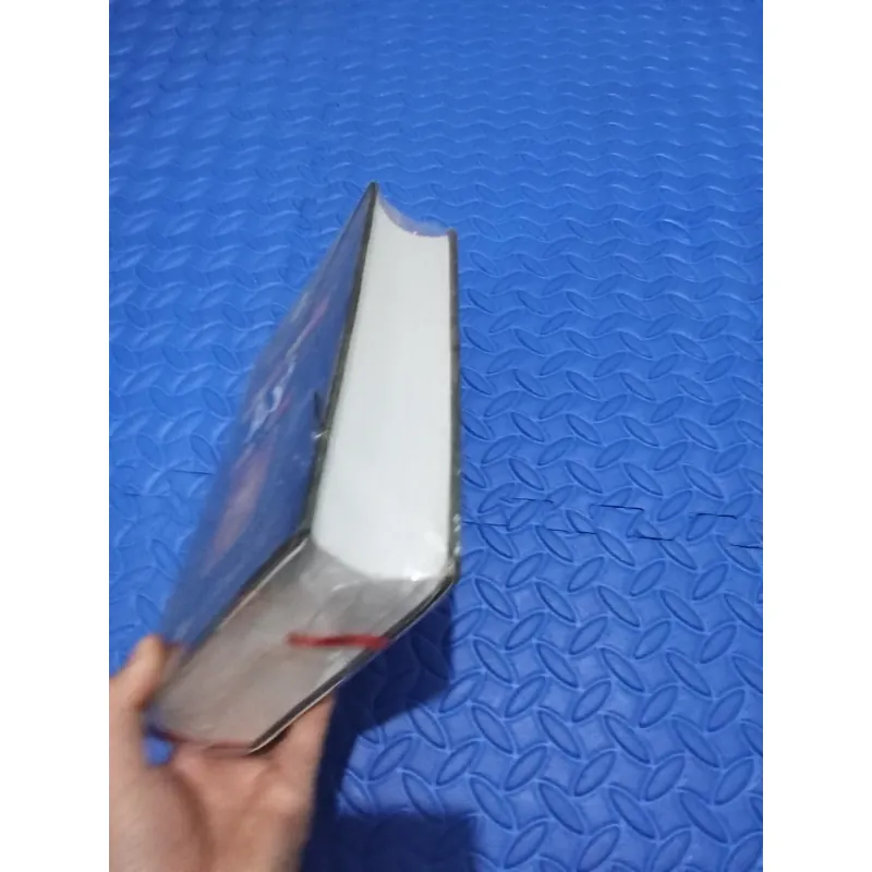 Vương Triều Lý  (1009 - 1226 ) 927631