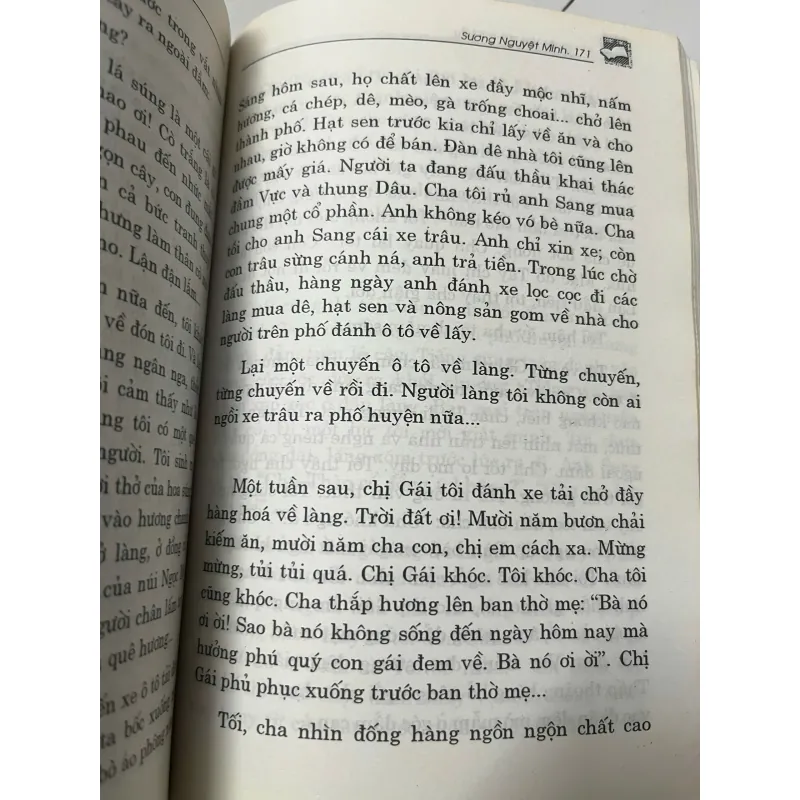 Đi qua đồng chiều – Sương Nguyệt Minh 991839