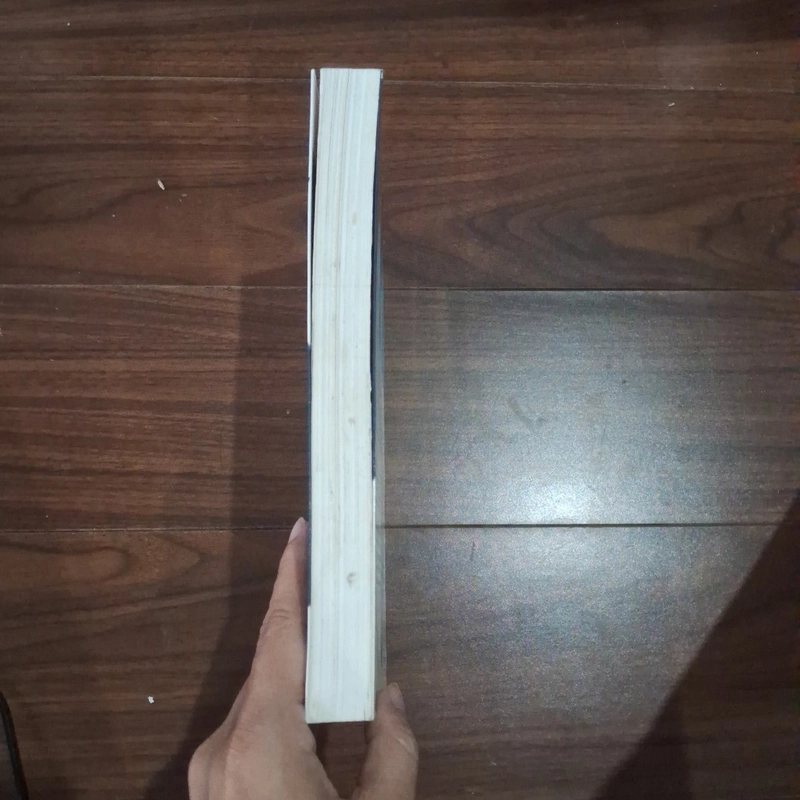 Vệ sĩ vô hình 525223