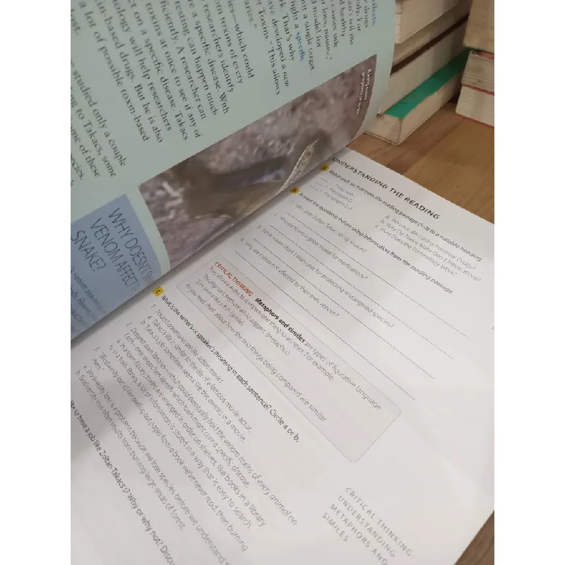 Pathways 2 - Laurie Blass, Mari Vargo 697381