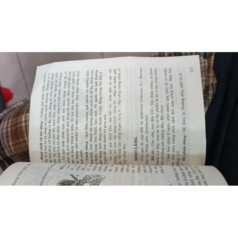 CÂY THUỐC TRỊ BỆNH THÔNG DỤNG - VÕ VĂN CHI 746969