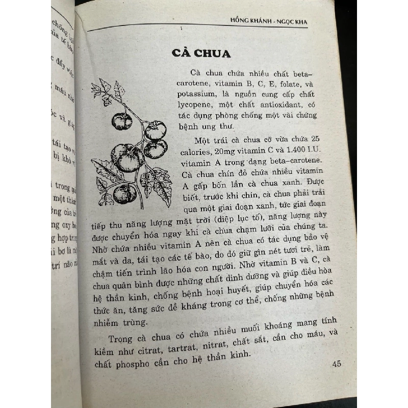 Những bài thuốc dân gian rau, củ, quả trị bệnh - Hồng Khánh 936480