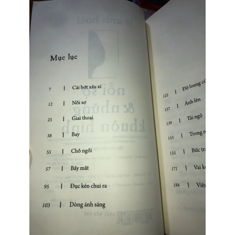 Nỗi sợ & những khuôn hình - Lê Hoài Anh 995414