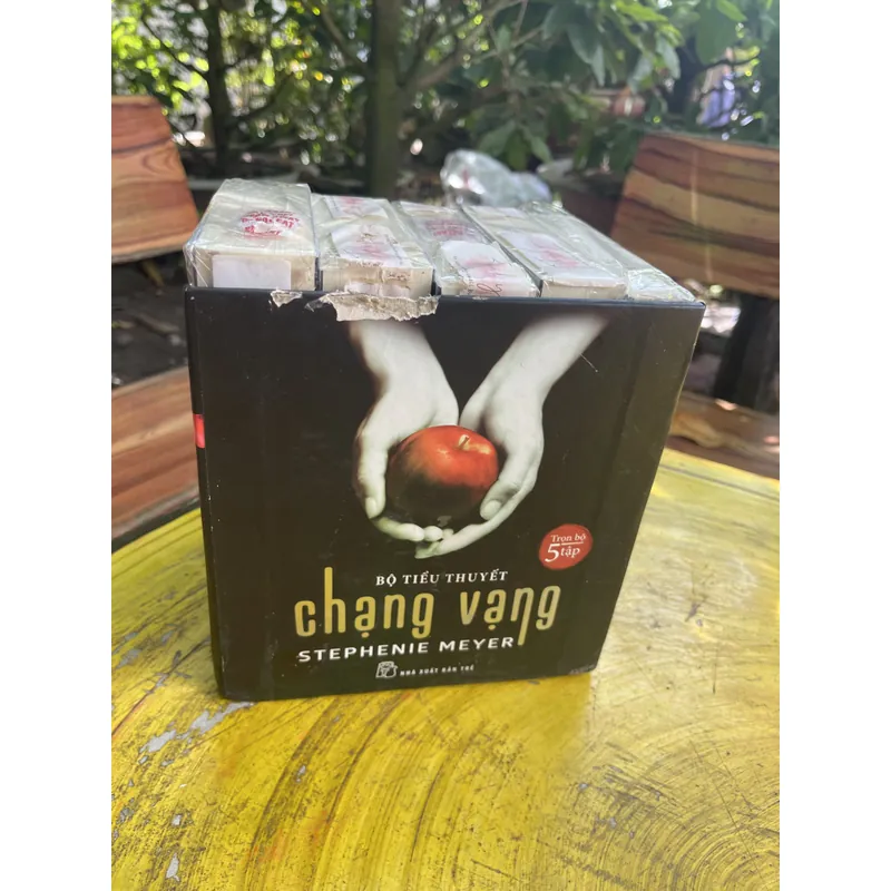 BOXSET CHẠNG VẠNG FULL 5 CUỐN 597227