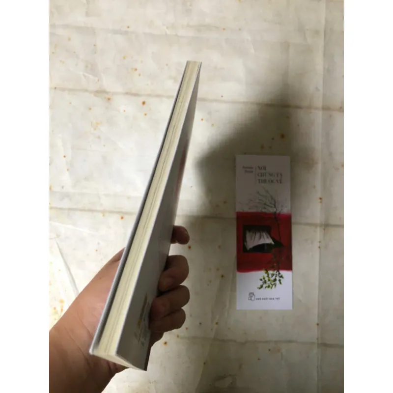 Nơi Chúng Ta Thuộc Về - Amanda Huỳnh 975474