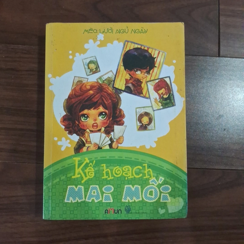 Kế hoạch mai mối 508867