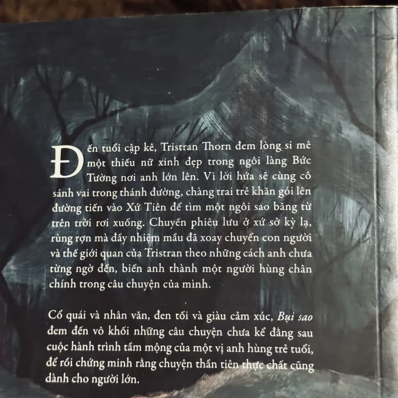 Bụi sao - Neil Gaiman 933799